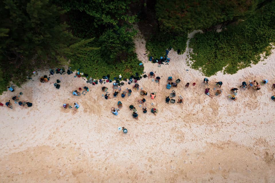 An arial shot of students participating in a beach cleanup